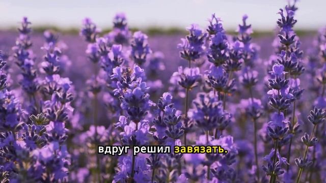 Родители бухали всё мое детство, сейчас уже не пьют, но пытаются учить жизни...