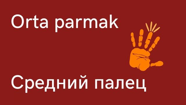 Турецкий язык для начинающих, пальцы