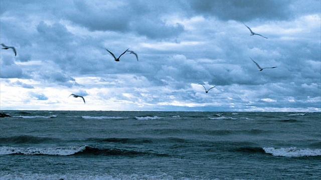 Mike Burton - Fly Away | ♫ RE ♫ смотреть онлайн