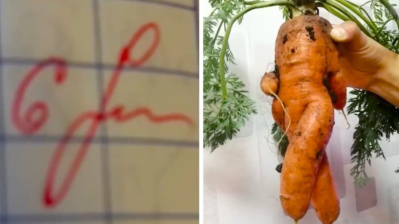 Фото от подписчиков 26 часть