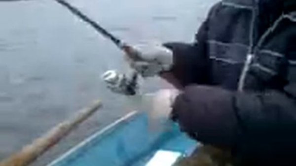 Диалоги о рыбалке 1 (судак в корчах).3GP