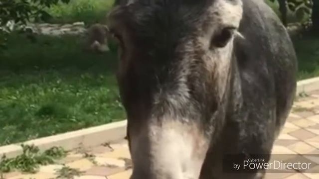 Дорога в осень смотреть онлайн