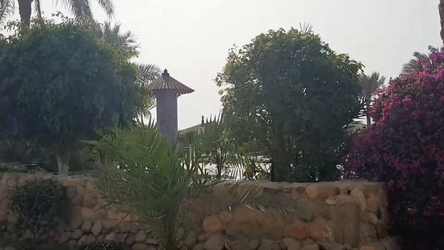 Египет Бассейн отеля Queen Sharm Resort Egypt Beach Hotel Queen Sharm Resort