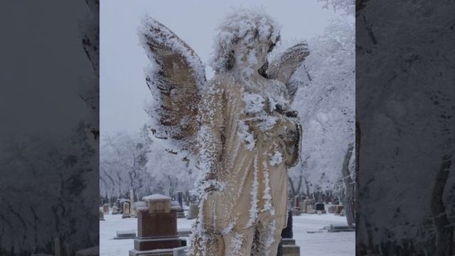 не верю тебе