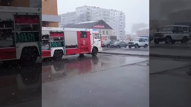 Кемерово Бегемот