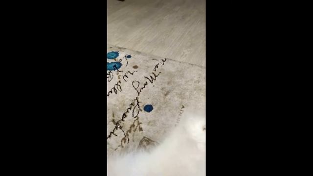 Рони 2 серия