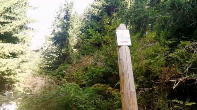 Гора Говерла 2020