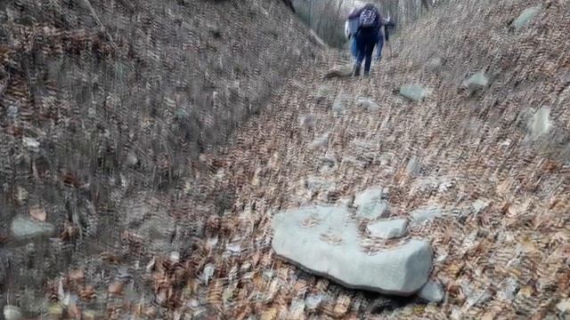 Сходження на гору Пікуй