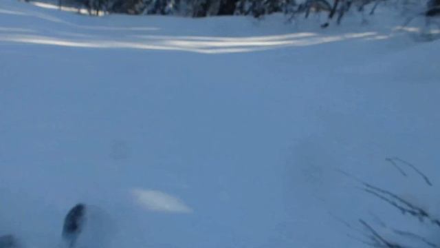 Скитур на Заломной смотреть онлайн
