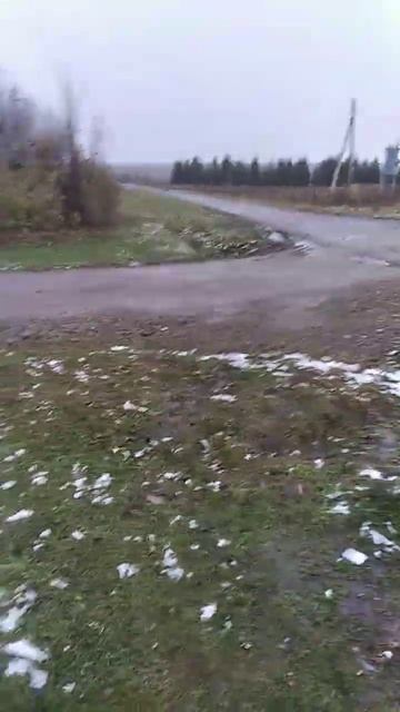 эхх растаял снег