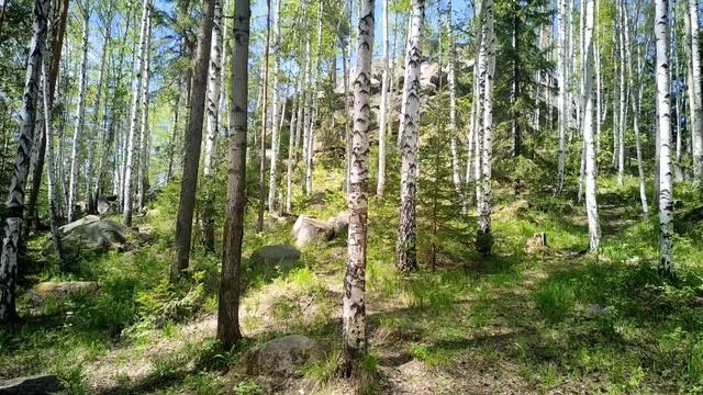 На Соколиный камень с маленьким ребенком смотреть онлайн