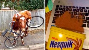 Жизнь без сценария случаи, когда план рухнул!