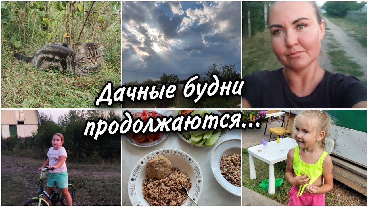 Мы всё ещё отдыхаем на дачеЧем занимаемся и что готовим. Лето заканчивается☺ смотреть онлайн