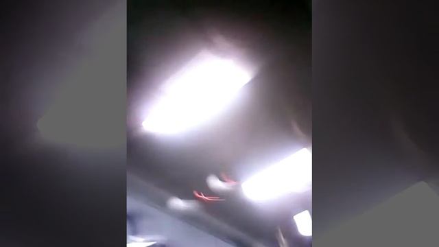 8 января 2017 г.