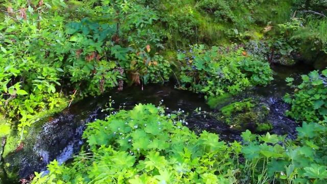 ПЕРЕВАЛ ДЯТЛОВА Экспедиция'2015 EPIC STORY