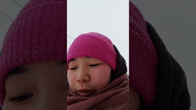 14 Марта #НадяРичи #мяу #магаданскаяобласть #колыма #центр #япония #дома #снег #машина