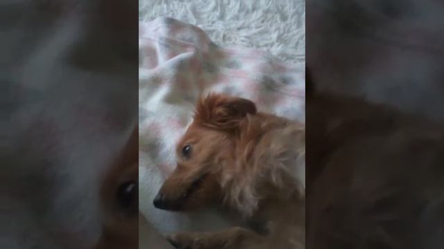 Боня обиделась смотреть онлайн