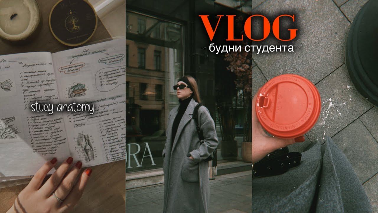 учу анатомию, делаю презентацию и запиваю всё это кофе ☕️ смотреть онлайн