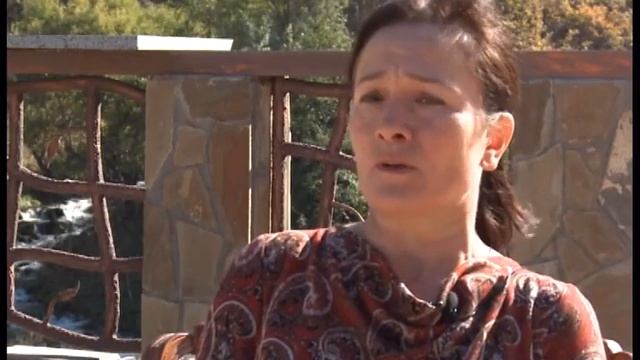 Фыдæлты уæзæгмæ. Ирон удварн.