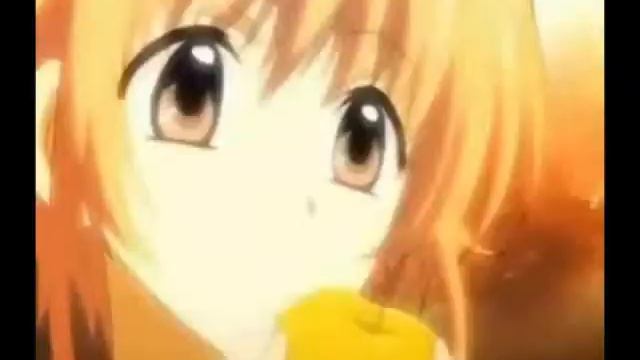 Сакура и Шаоран.wmv смотреть онлайн