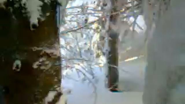 Яврник (Приют Туристов)