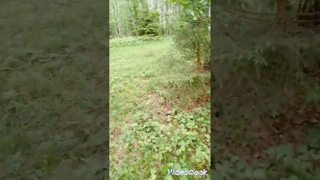 поездка в Заповедник