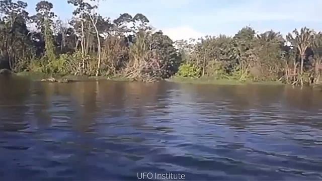 Strange Sounds From The Amazon Rainforest ( February 9, 2021 ) смотреть онлайн