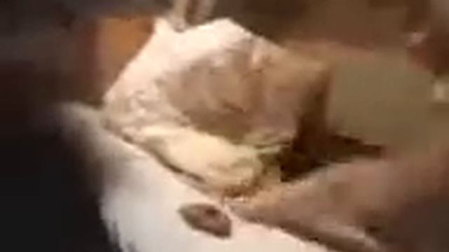 Туалет в поезде.3gp смотреть онлайн