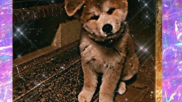 АКИТО ИНО 1 Часть