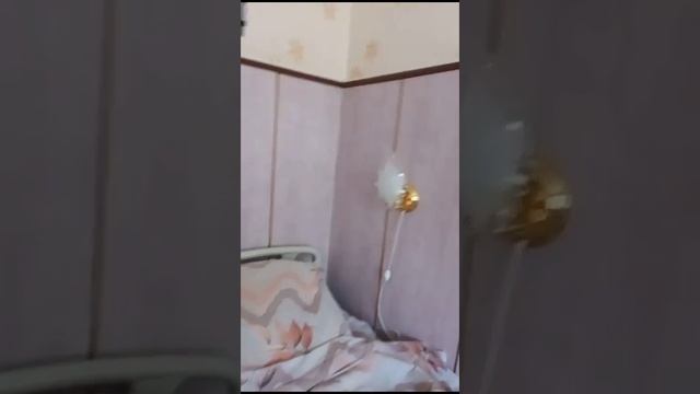 Моя комната в санатории. 🐱 смотреть онлайн