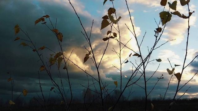 "БЫЛО ИЛИ НЕ БЫЛО" АРТЁМ @Ева Бахтерева Текст: Елена Фастовская смотреть онлайн