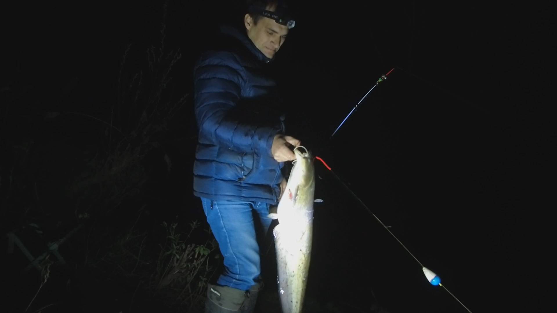 Сом на донки. Весна 2025. #3