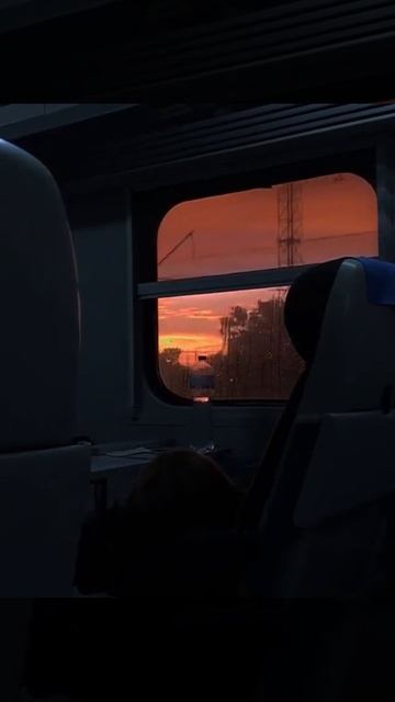 •Я не могу доверять людям. Красиво говорят и пишут, но язык другой, сердце другое... 🏹 •