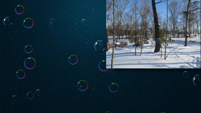 ВЕСНА ГОЛУБИ СТОЛОВАЯ Слайд смотреть онлайн