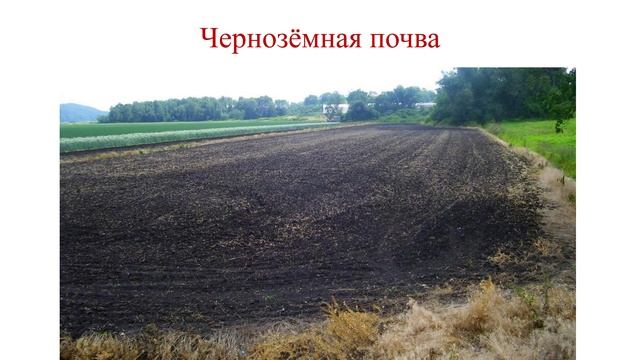 Урок сельскохозяйственного труда "Разнообразие почв. Плодородие" смотреть онлайн