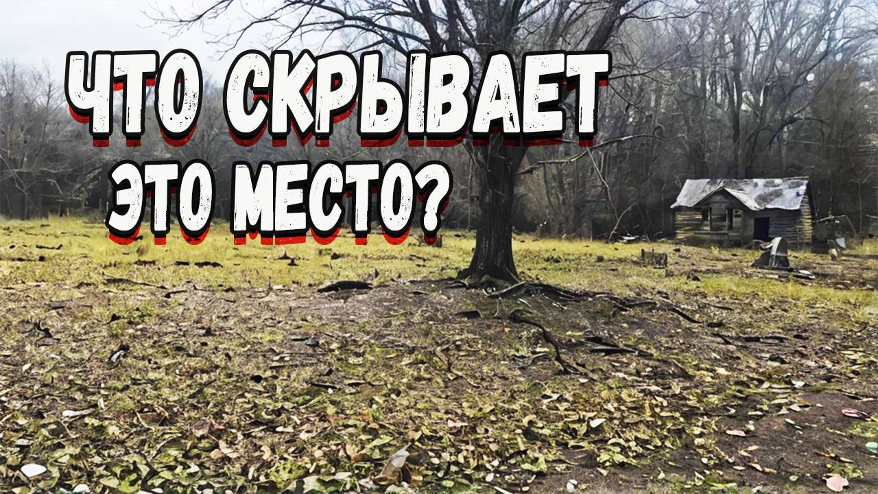 Тайна лесной деревни. На поиски клада! Интересный коп 2025. смотреть онлайн