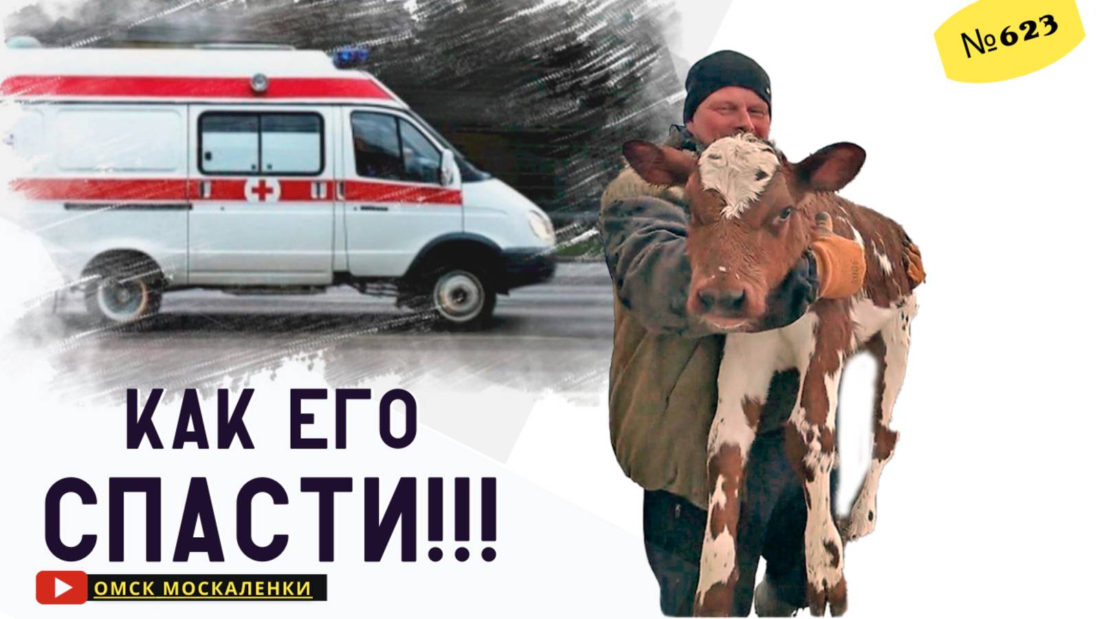 Как помочь телятам при вздутии живота за 15 минут? Лучший средство от тимпании рубца. смотреть онлайн