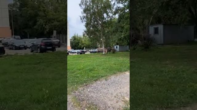 Гуляем. Проспект Науки. смотреть онлайн