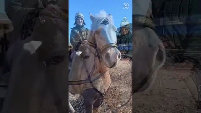 Мы Катаемся на Лизавете. октябрь 2022 года