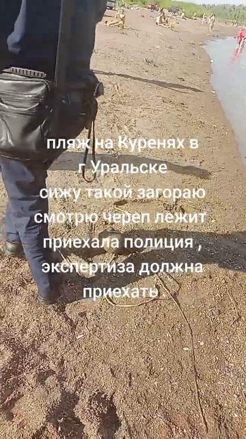 на городском пляже, нашли человеческий череп. смотреть онлайн
