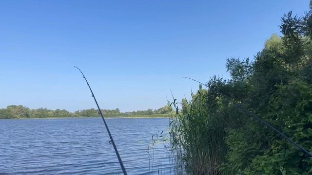 НЕ ОЖИДАЛИ ТАКОГО КЛЁВА🤔 ДНЕПР 7.06.2024 смотреть онлайн