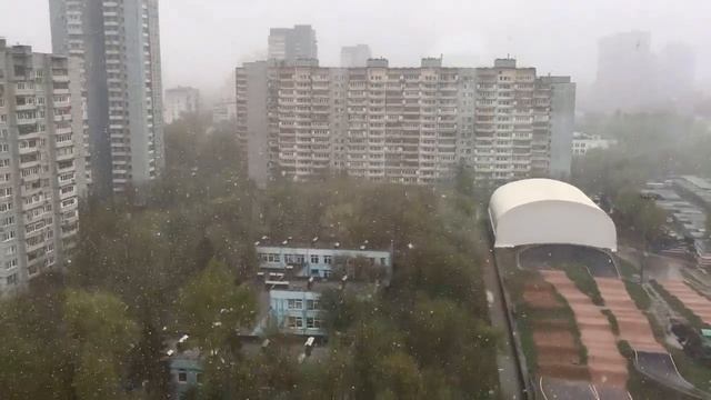 8 мая 2017....  снежок в Москве