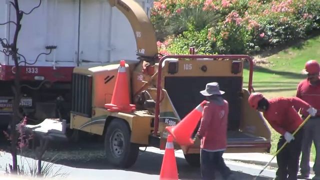 California.Уход за территорией-Обрезка деревьев. смотреть онлайн