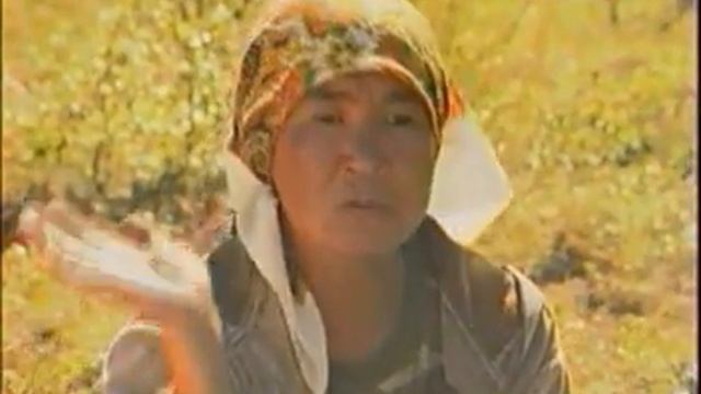 Своя песня - Корякский АО - Письма из провинции смотреть онлайн