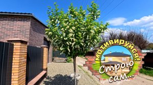 Весенний субботник на загородном участке. Как это происходит.