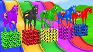 Человек-ПАУК на Красной ЛОШАДИ Пересекает РАДУЖНЫЙ ФОНТАННЫЙ мост с Пони Супергероями