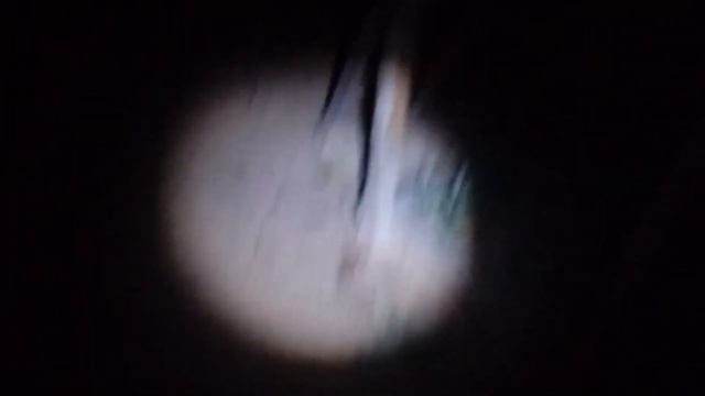 с п барские питомник проспект Polinwagen Rage смотреть онлайн