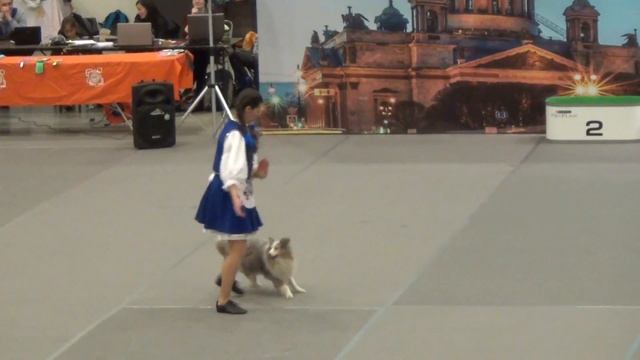 Чиж Елена и МОТИВ ДУШИ ИЗ СТАРОЙ ШУИ. Дебют-фристайл. смотреть онлайн