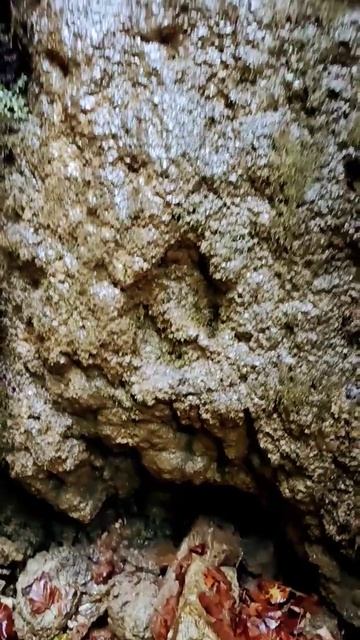 "Мощный"' Весенний водопад 😀 Мацеста Сочи // кто такой // Utes смотреть онлайн