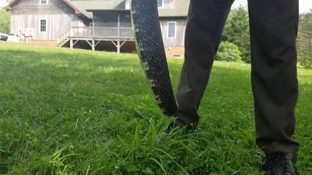 Big Black Snake смотреть онлайн